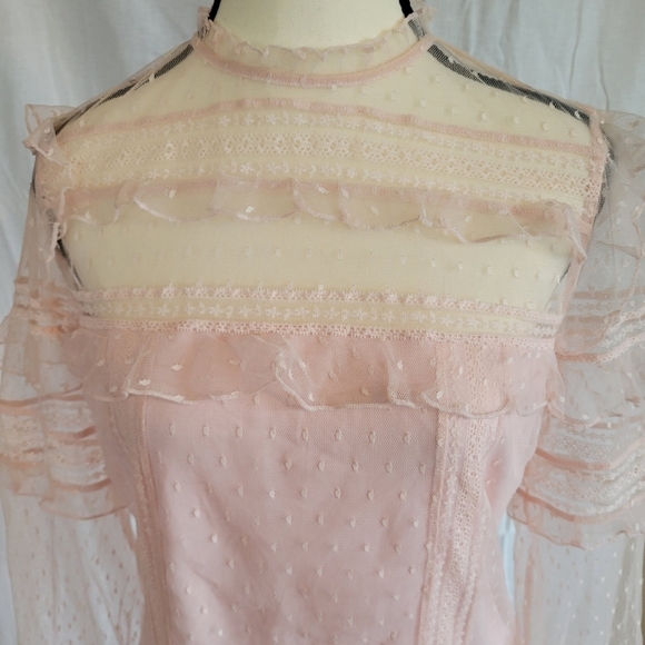 Express blush pink lace Swiss dot lined Victorian mock neck long sleeve blouse S - Picture 4 of 10
